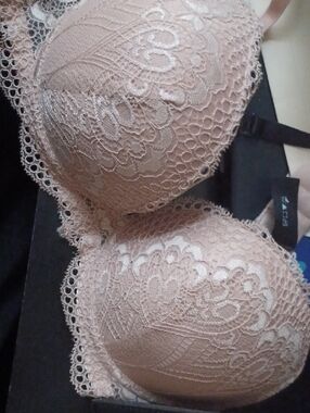 T.J.Maxx Blush Lace Push-Up Bra